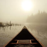 deer-misty-canoe